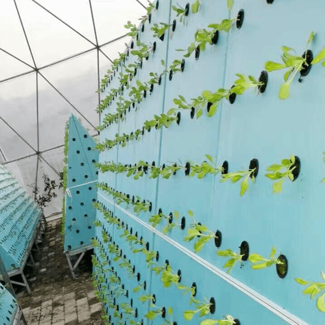 Placă izolatoare ușoară, impermeabilă, pentru hidroponie